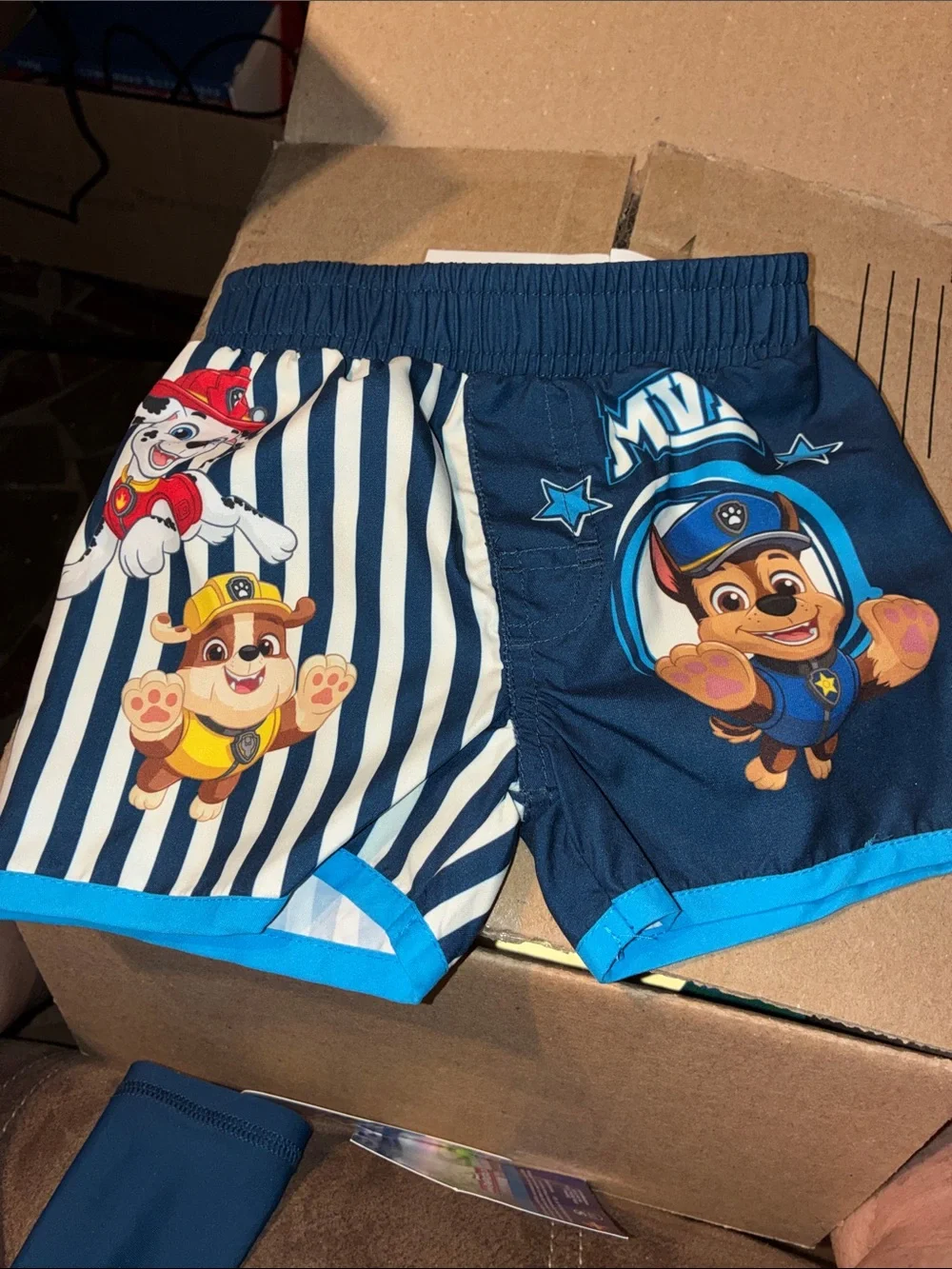 Paw Patrol Boys Navy & White Two-Piece Swim Set